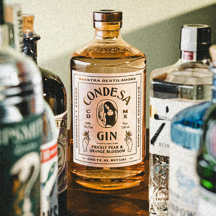 Different Types of Gin