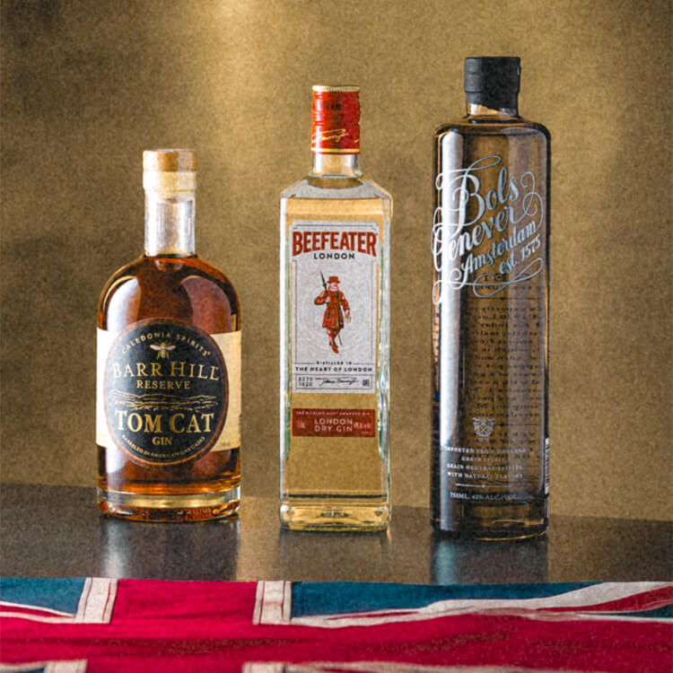 Bottles of Gin