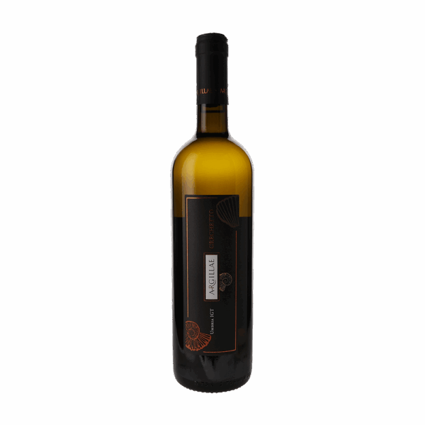 Argillae Umbria 2021 750ml