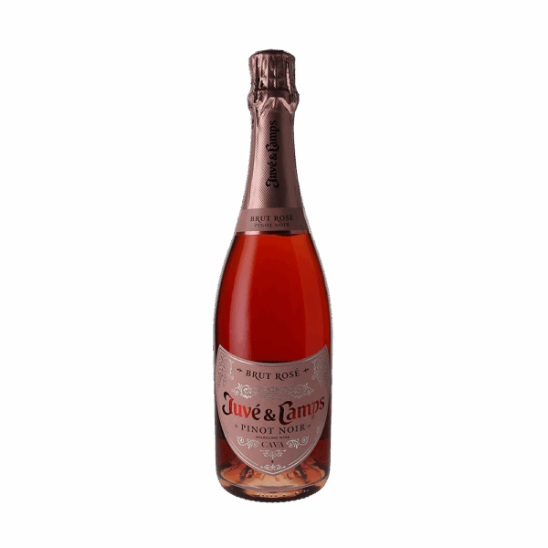 Juve & Camps Brut Sparkling Rose Catalonia 750ml