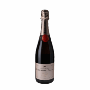 Raventos i Blanc de Nit Brut 2021 750ml